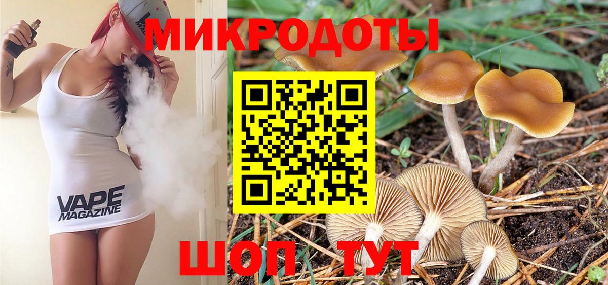 Нефтекумск  где купить наркотик  Вход с VPN  Псилоцибиновые грибы Psilocybe  Галлюциногенные грибы мицелий 