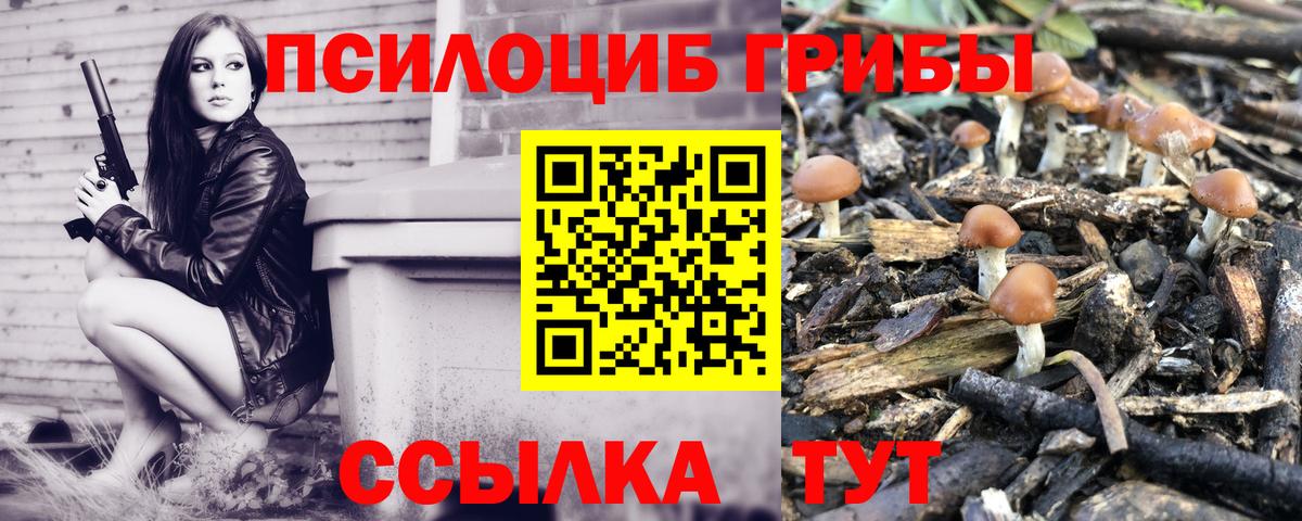 Псилоцибиновые грибы ЛСД Нефтекумск